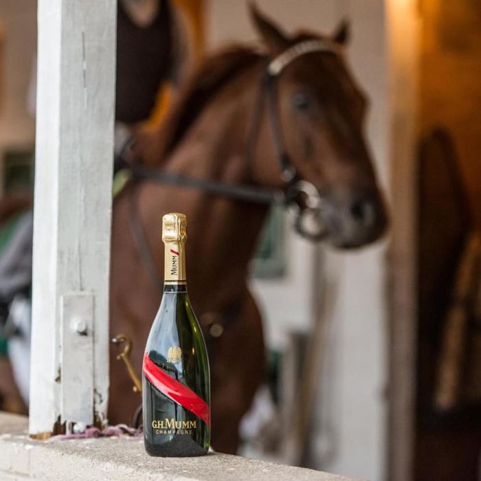 Derby Horse – Imagery